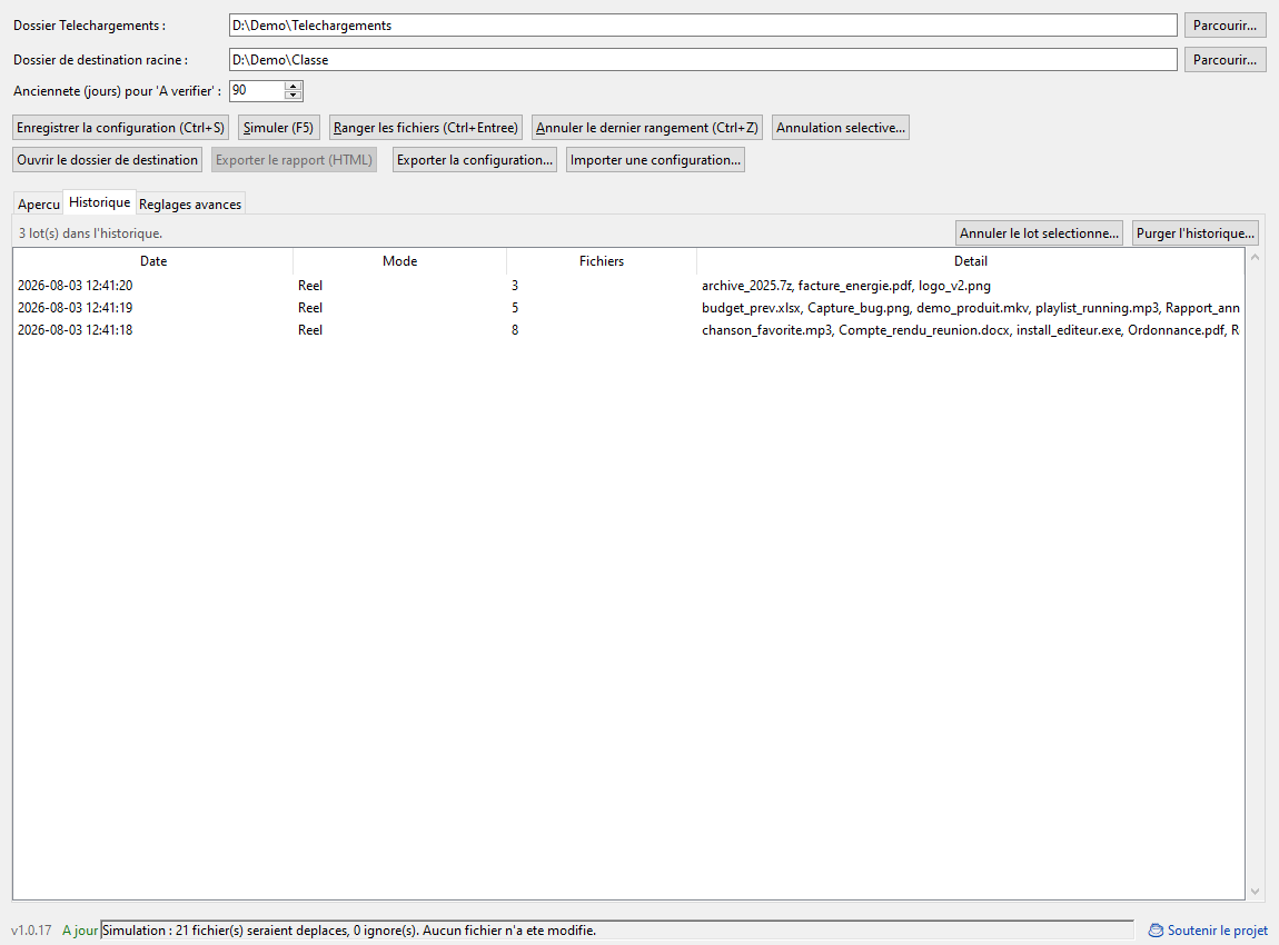 Capture d'écran de DownloadOrganizer (3)